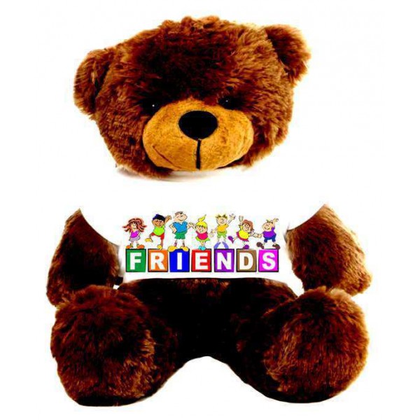 Brown 2 feet Big Teddy Bear wearing a FRIENDS T-shirt